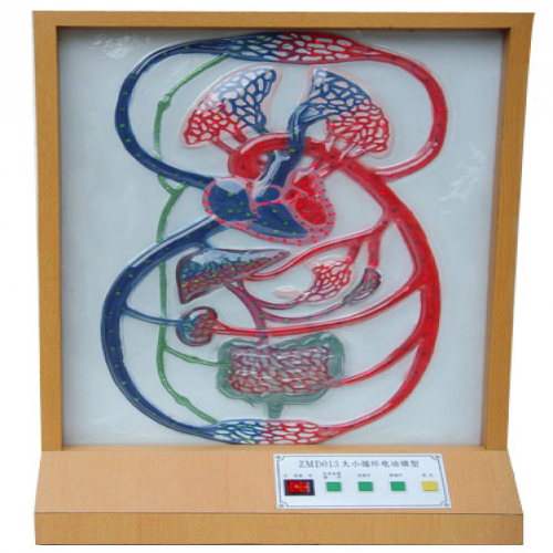 大、小循環(huán)電動(dòng)模型